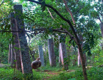 Pallebedda Bambaragala Forest Monastery